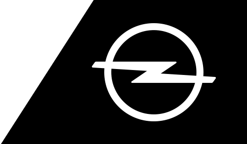 Logo von Rau Besitz GmbH & Co. KG
